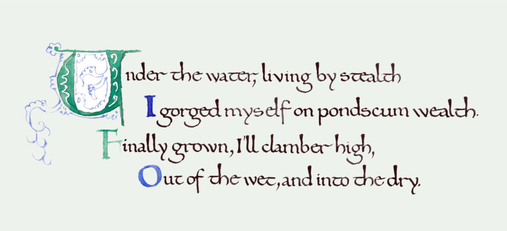 Timothy Nelson Hoy with Margaret Nelson • <em>Mayfly Dance, verse 2</em> • Calligraphy by Timothy, Words by Margaret • 10″× 8″ • $100.00