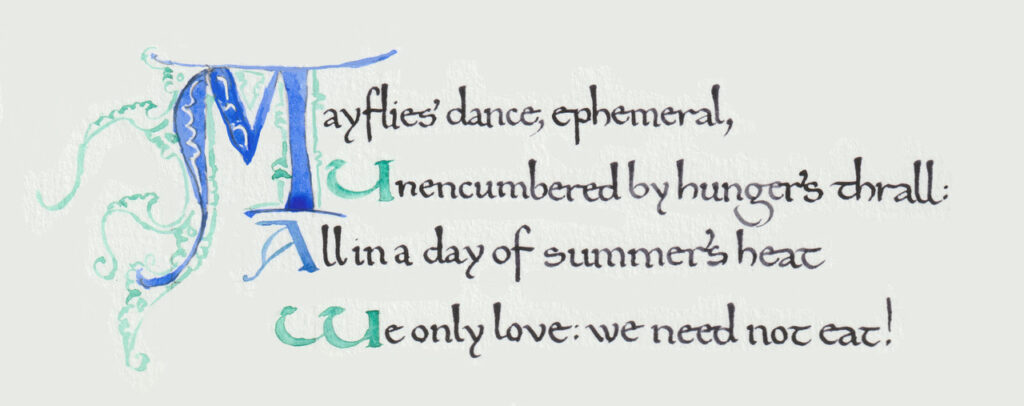 Timothy Nelson Hoy with Margaret Nelson • <em>Mayfly Dance, verse 5</em> • Calligraphy by Timothy, Words by Margaret • 10″× 8″ • $100.00