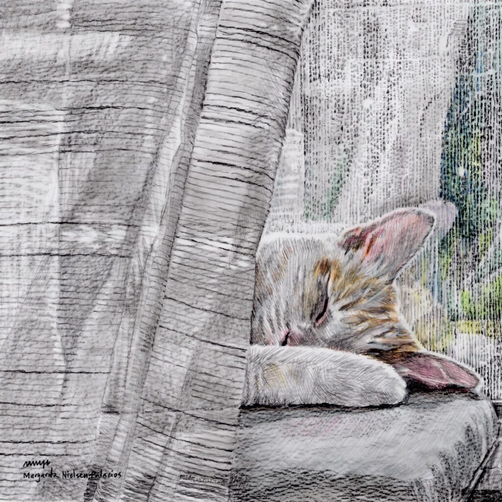 Margarita Nielsen-Palacios • <em>Cat nap</em> • Color pencil on drafting film • 8″× 8″ • $600.00<a class="purchase" href="https://state-of-the-art-gallery.square.site/product/margarita-nielsen-palacios-cat-nap/3523" target="_blank">Buy</a>