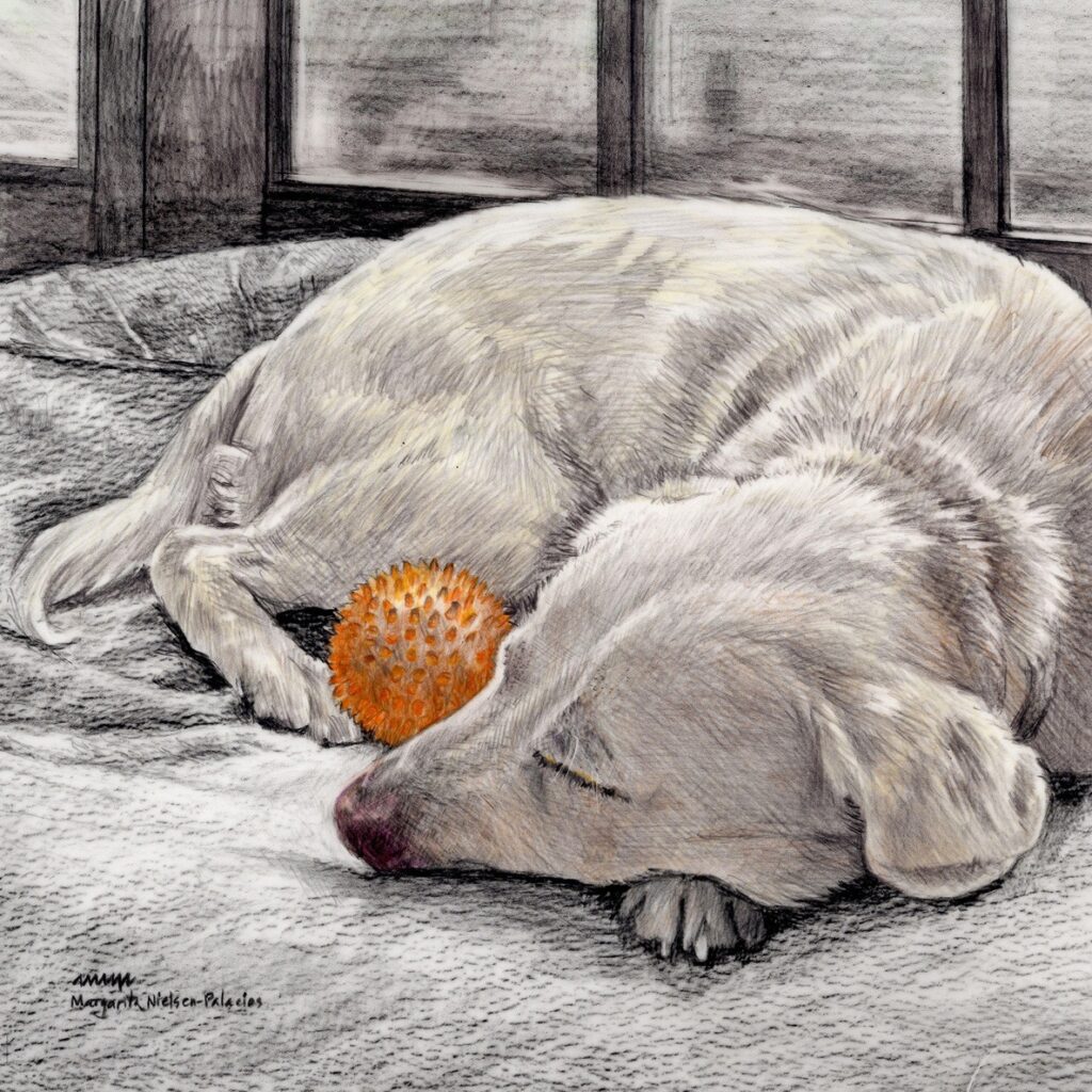 Margarita Nielsen-Palacios • <em>Siesta</em> • Color pencil on drafting film • 8″× 8″ • $600.00<a class="purchase" href="https://state-of-the-art-gallery.square.site/product/margarita-nielsen-palacios-siesta/3511" target="_blank">Buy</a>