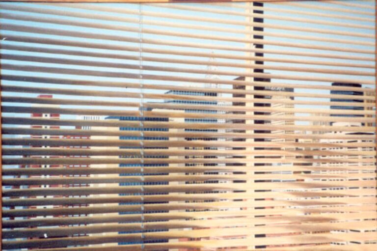 View Thru the Blinds by Richard Rosenbaum