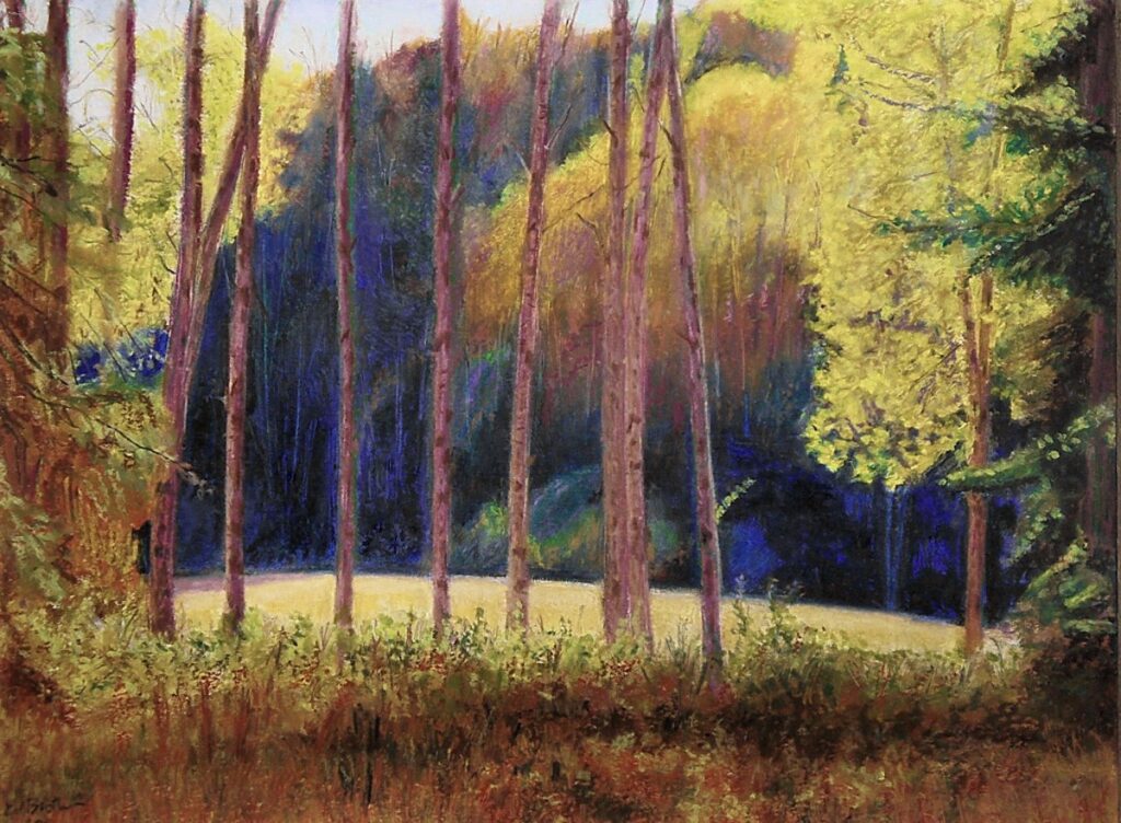 Ed Brothers • <em>Wolfe’s Run</em> • Oil pastel • 16″× 13″ • $800.00