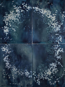 Christine Chin • <em>Invasive Species Cyanotype: Vinca Minor (Common Periwinkle, Creeping Myrtle)- Circle Facing Out</em> • Cyanotype photogram from original specimen • 44″× 60″ • $2,400.00