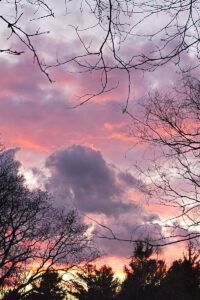 Nancy Ridenour • <em>Sunset 1</em> • Digital image on canvas • 20″× 24″ • $175.00