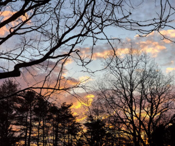 Nancy Ridenour • <em>Sunset 2</em> • Digital image on canvas • 24″× 20″ • $175.00
