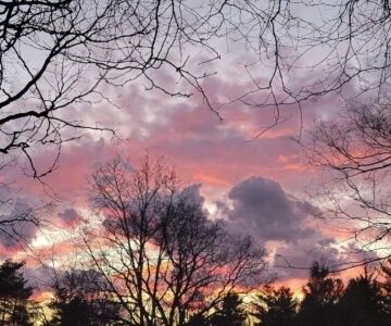 Nancy Ridenour • <em>Sunset 3</em> • Digital image on canvas • 24″× 20″ • $175.00