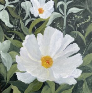 Patty L Porter • <em>Spring Delight ~ Peony II</em> • Oil on canvas • 8″× 8″ • $140.00