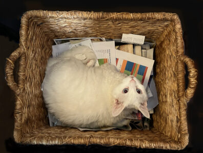 Margy Nelson • <em>Help with the Recycling</em> • Digital, ultrachrome ink on paper • 20″× 16″ • $150.00