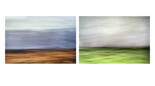 Keith Millman • <em>Henderson Lake - Beaver Pond Diptych</em> • Archival inkjet print • 19″× 10½″ • $250.00