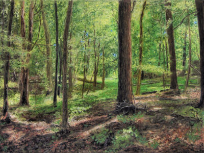 Ed Brothers • <em>Spring Woods</em> • Oil pastel • 16″× 13″ • $800.00