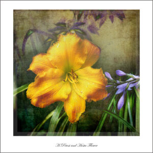 David Watkins, Jr • <em>H. Smokey Mountain autumn</em> • NFS