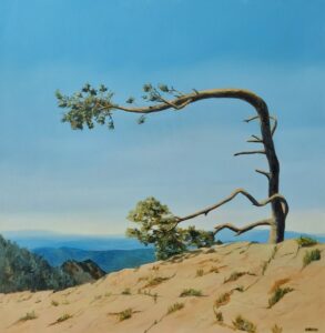 Annemiek Haralson • <em>The Flag Tree</em> • Oil • 24″× 24″ • $525.00