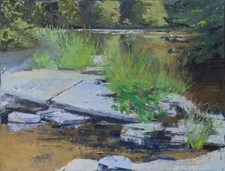 Trumansburg Creek by Diana Ozolins