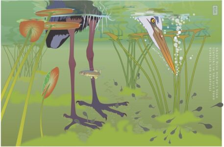 Margy Nelson • <em>Heron and Tadpoles</em> • NFS