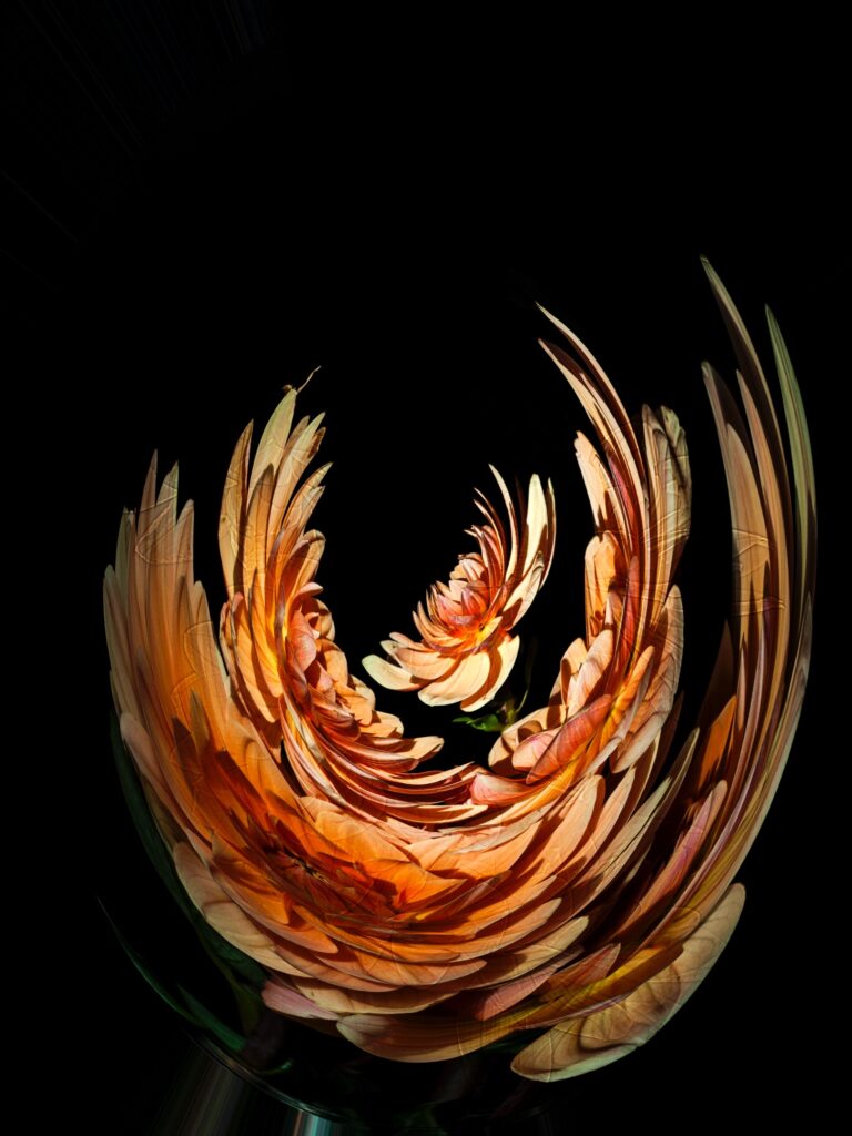 Red Dahlia Abstract by Nancy Ridenour