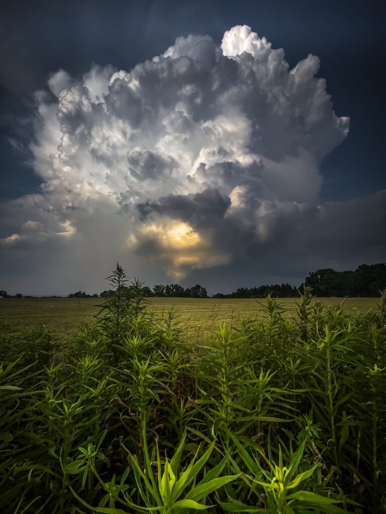 Coleen Foley • <em>Severe Thunderstorm over Groton, NY</em> • Metal print on aluminum • 16″× 24″ • $450.00