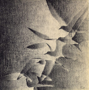 Frances L. Fawcett • <em>In for the Landing</em> • Charcoal on paper • 16″× 16″ • On loan from the collection of Rachel & Bradley Bostrom