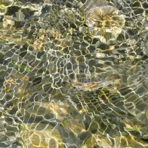 Frances L. Fawcett • <em>Light Trace 4</em> • Ultrachrome ink on canvas, #1 of an edition of 15 • 16″× 16″ • $325.00<a class="purchase" href="https://state-of-the-art-gallery.square.site/product/frances-l-fawcett-light-trace-4/ETKUQQ7YNU5ENON6MSSC2BTA" target="_blank">Buy</a>
