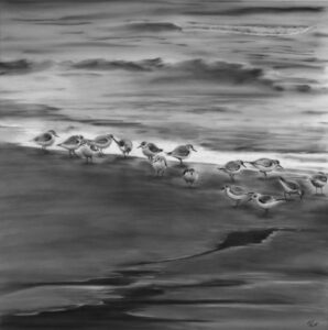 Frances L. Fawcett • <em>Sanderlings</em> • Carbon dust on mylar film, on loan from the collection of rachel and bradley bostrom • 16″× 16″ • NFS