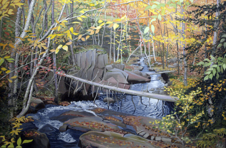 Adirondack Cascade by Frances L. Fawcett