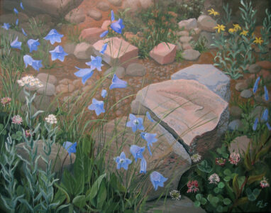 Frances L. Fawcett • <em>Colorado Harebells</em> • Acrylic on canvas • 30½″× 24½″ • $950.00<a class="purchase" href="https://state-of-the-art-gallery.square.site/product/frances-l-fawcett-colorado-harebells/L73BXGHC7UQXC5YBHBMGJITY" target="_blank">Buy</a>