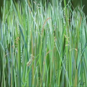 Frances L. Fawcett • <em>Mantis in the Grass</em> • Ultrachrome ink on canvas, #1 in an edition of 15 • 10½″× 10½″ • $195.00<a class="purchase" href="https://state-of-the-art-gallery.square.site/product/frances-l-fawcett-mantis-in-the-grass/2KGJV4GCS7AU5WO57FHYDQSE" target="_blank">Buy</a>