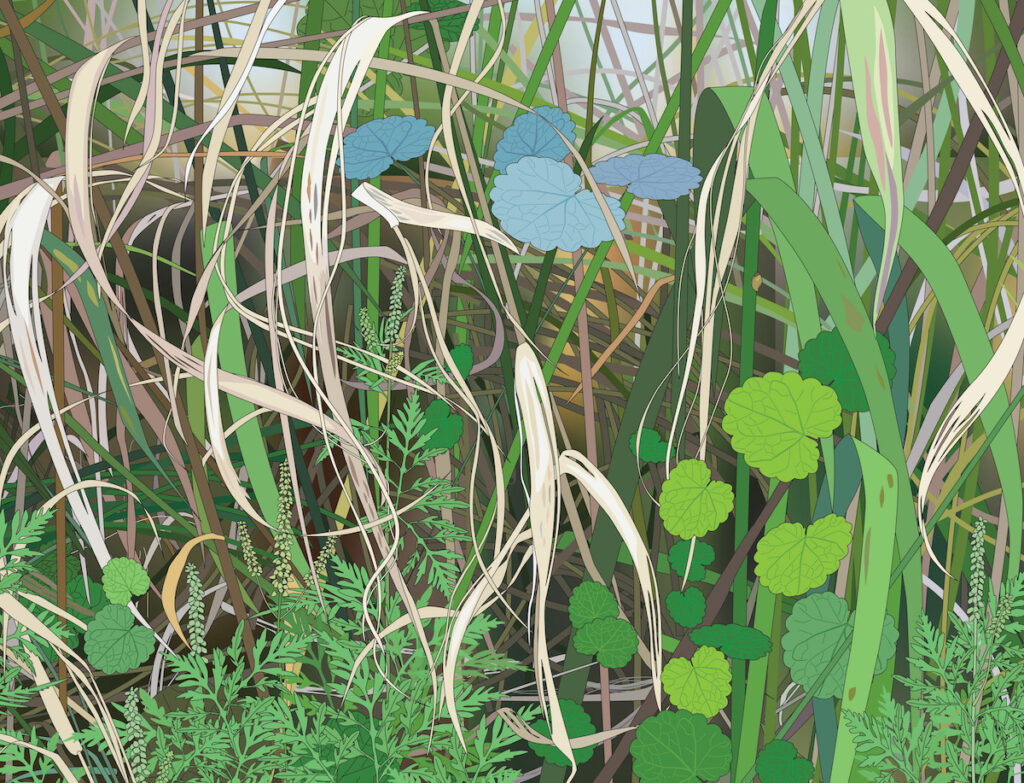 Frances L. Fawcett • <em>Roadside Grasses – study</em> • Ultrachrome ink on canvas • 27″× 21″ • $375.00<a class="purchase" href="https://state-of-the-art-gallery.square.site/product/frances-l-fawcett-roadside-grasses-study/WNGBY6OGKIUEQB6X2BLVJFV4" target="_blank">Buy</a>