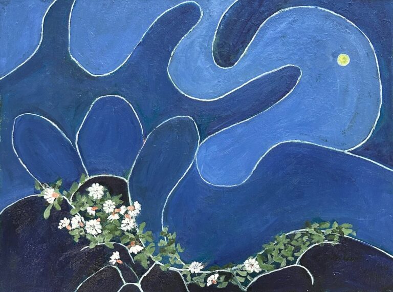 Sea Campion by Ethel Vrana