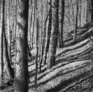 Frances Fawcett • <em>Tree Shadows</em> • NFS
