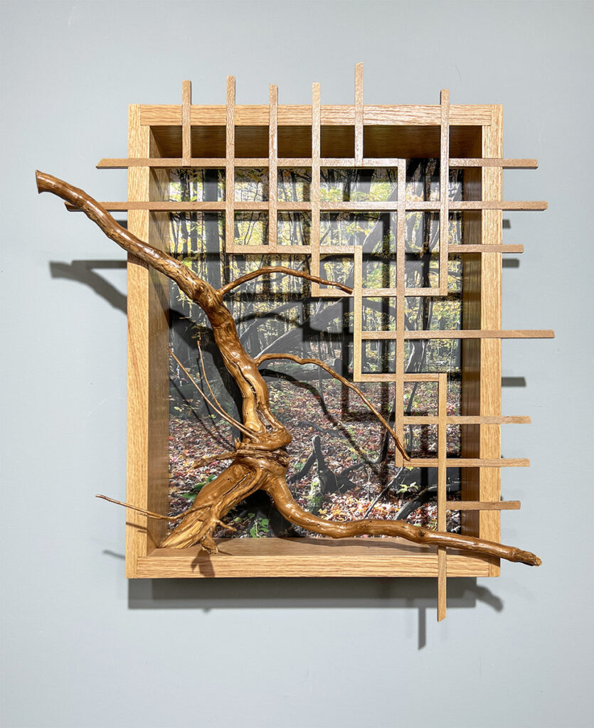 Eva M. Capobianco • <em>Stevenson Forest Preserve with Root and Lattice</em> • Photo and reused wood • 16″× 18″× 5″ • $475.00