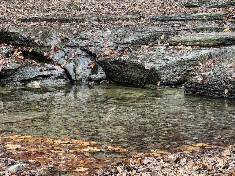 Base of Waterfall, Sweedler Nature Preserve, Finger Lakes Land Trust by Eva M. Capobianco