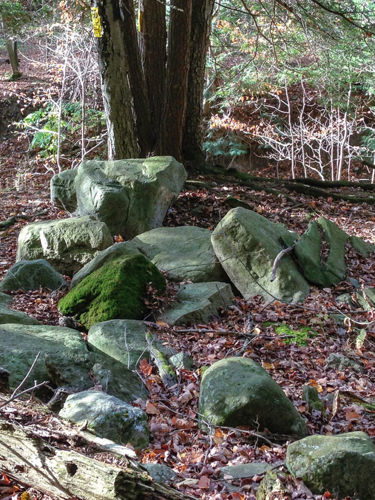 Eva M. Capobianco • <em>Rocks and Trees, Stevenson Forest Preserve, Finger Lakes Land Trust</em> • Digital print • 12″× 15″ • $125.00