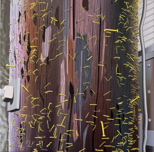 Frances Fawcett • <em>Illegal to Post, Buffalo Street</em> • Ultrachrome ink on canvas • 16″× 16″ • $425.00