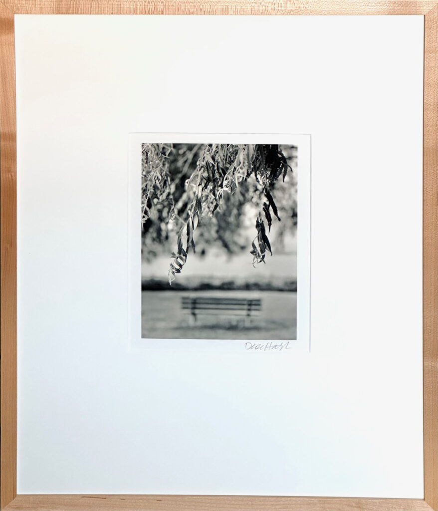 Dede Hatch • <em>Stewart Park</em> • Archival pigment print • 16″× 20″ • $285.00