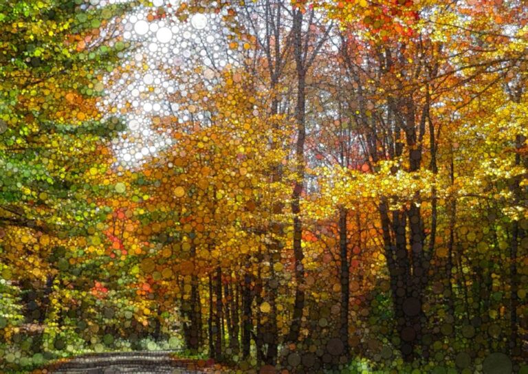 October Sojourn by Daniel McPheeters