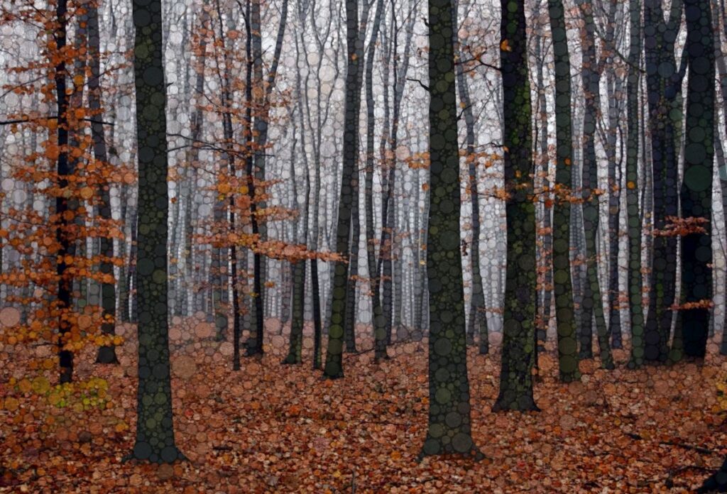 Daniel McPheeters • <em>Sapsucker Woods</em> • Mixed media on panel • 24″× 17″ • $200.00