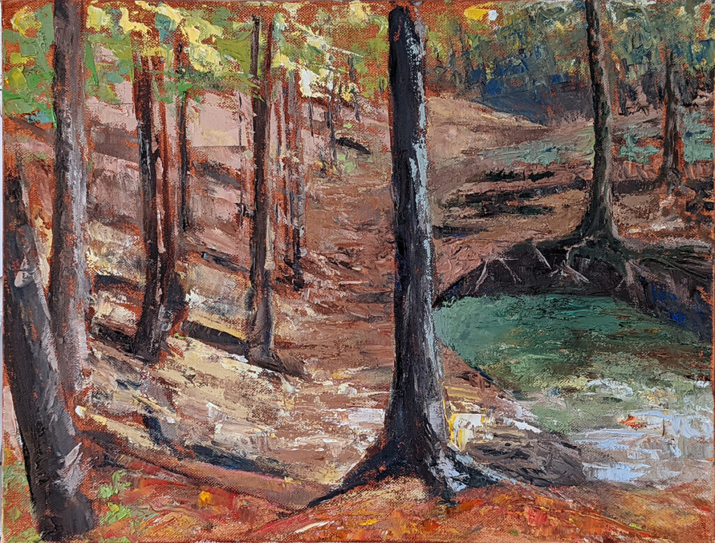 Diana Ozolins • <em>Thayer Preserve at 5:00 pm</em> • Oil on canvas • 18″× 14″ • $550.00