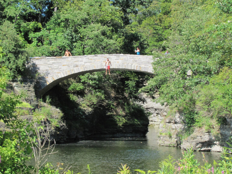 Summer at Sackett Bridge by Margaret Nelson