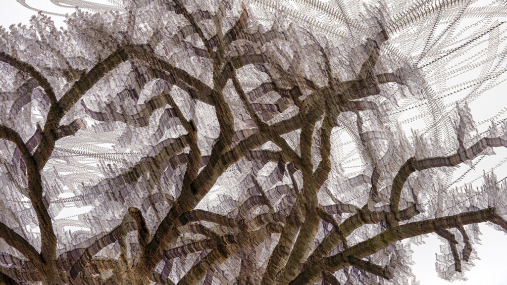 Keith Millman • <em>Stewart Park 1</em> • Archival ink jet print • 19″× 10″ • $275.00
