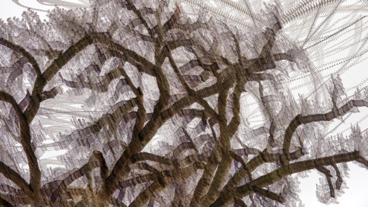 Keith Millman&nbsp;• <em>Stewart Park 1</em>&nbsp;• Archival ink jet print&nbsp;• 19″×&nbsp;10″&nbsp;• $275.00