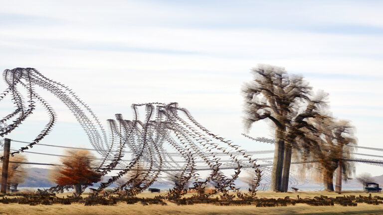 Stewart Park 2 by Keith Millman