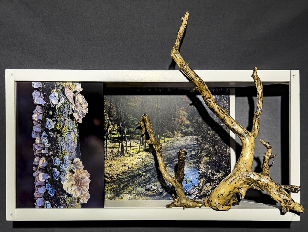 Eva M. Capobianco&nbsp;• <em>Map 10 - Stream and Mushrooms</em>&nbsp;• Photos, reused wood and found wood&nbsp;• 15″×&nbsp;20″×&nbsp;6″&nbsp;• $525.00