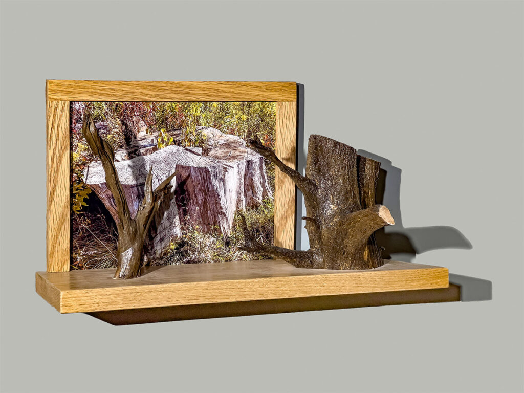 Eva M. Capobianco&nbsp;• <em>Map 14 - Tree Stumps</em>&nbsp;• Photo, found & reused wood&nbsp;• 10″×&nbsp;20″×&nbsp;9″&nbsp;• $475.00