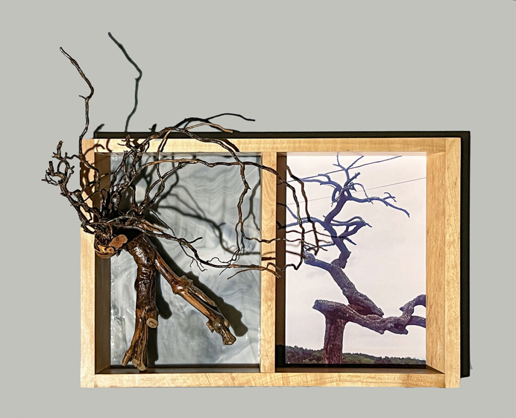 Eva M. Capobianco&nbsp;• <em>Map 22 - Gnarly Tree</em>&nbsp;• Photo, stained glass, found and reused wood&nbsp;• 16″×&nbsp;20″×&nbsp;7″&nbsp;• $525.00