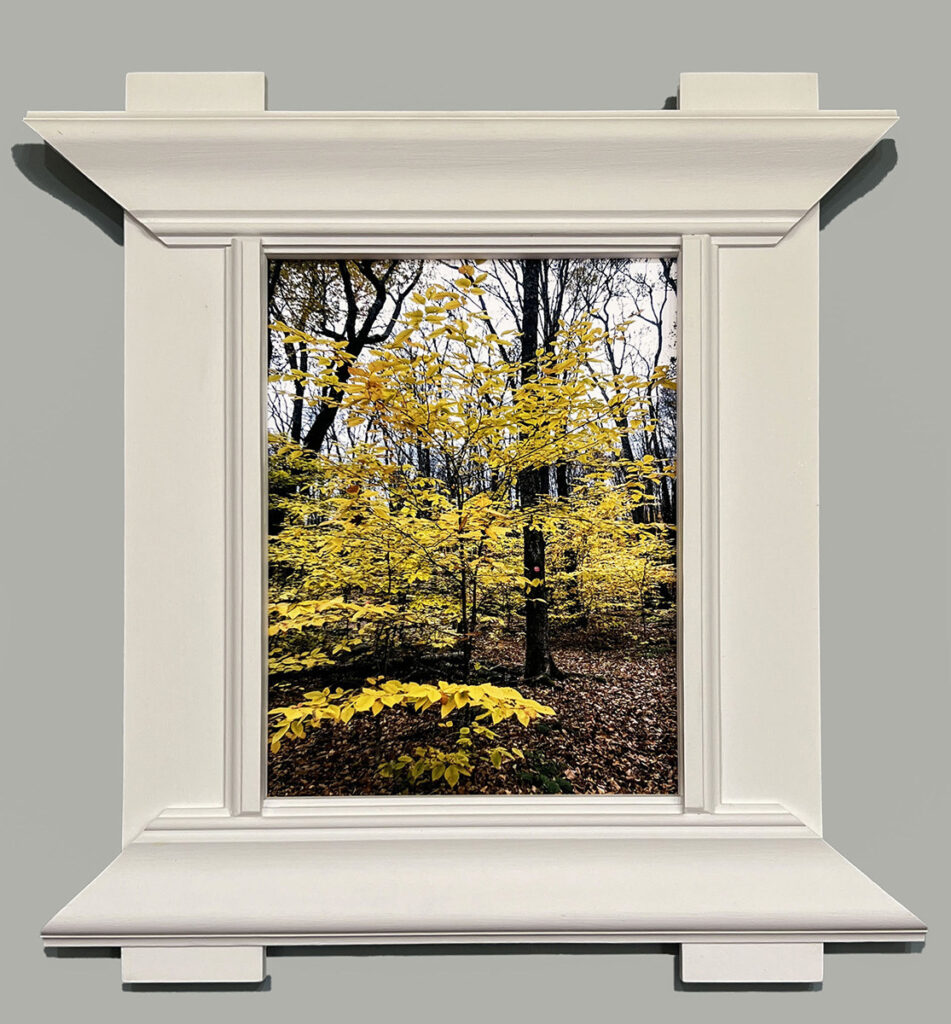 Eva M. Capobianco&nbsp;• <em>Map 31 - Yellow leaves with Asian Inspired Frame</em>&nbsp;• Photos with found wood&nbsp;• 17½″×&nbsp;15″×&nbsp;1½″&nbsp;• $425.00