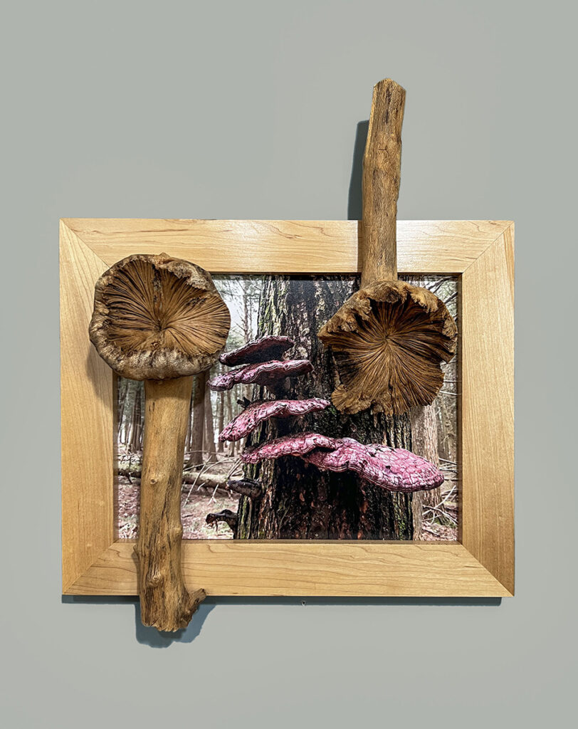 Eva M. Capobianco&nbsp;• <em>Map 26 - Shelf Mushrooms with Wooden Flowers</em>&nbsp;• Photo, reused & found wood&nbsp;• 20″×&nbsp;17½″×&nbsp;5″&nbsp;• $475.00