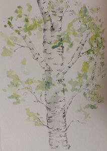 Annemiek Haralson&nbsp;• <em>Birch 1</em>&nbsp;• Ink and watercolor&nbsp;• 5″×&nbsp;7″&nbsp;• $75.00