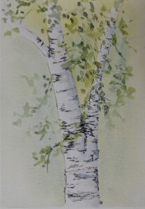 Annemiek Haralson&nbsp;• <em>Birch 2</em>&nbsp;• Ink and watercolor&nbsp;• 5″×&nbsp;7″&nbsp;• $75.00