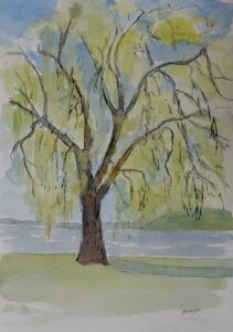 Annemiek Haralson&nbsp;• <em>Willow</em>&nbsp;• Ink and watercolor&nbsp;• 5″×&nbsp;7″&nbsp;• $75.00
