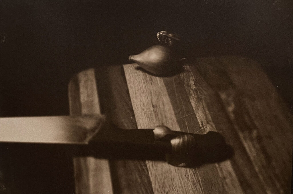 Christine Chin • <em>Wrong Pollinator: After Jan Groover</em> • Vandyke brown • 16″× 20″ • $200.00